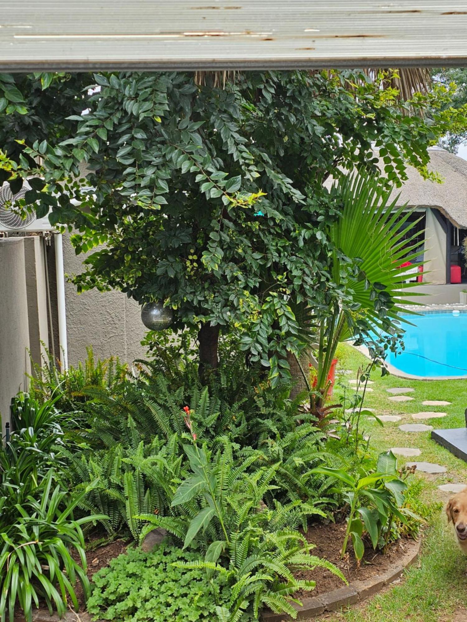 The Armagh Guesthouse Boksburg Exteriér fotografie